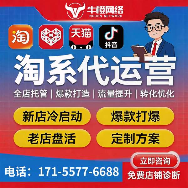 海南州电商代运营