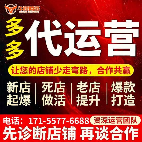 海南州电商代运营