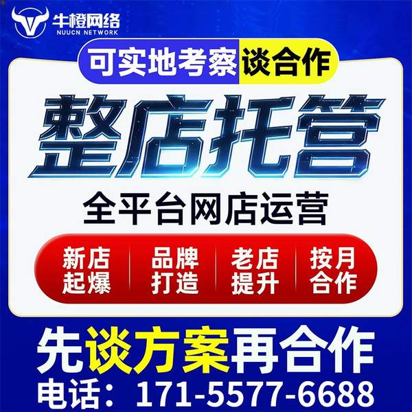 海南州电商代运营