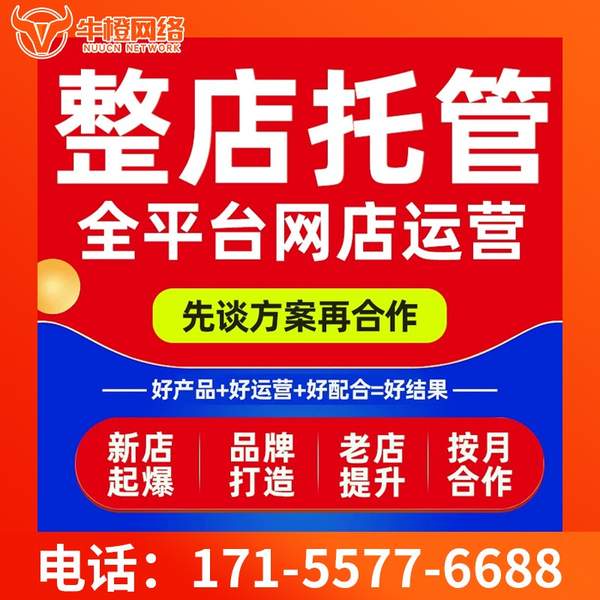 海南州电商代运营