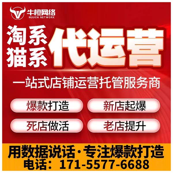 海南州电商代运营